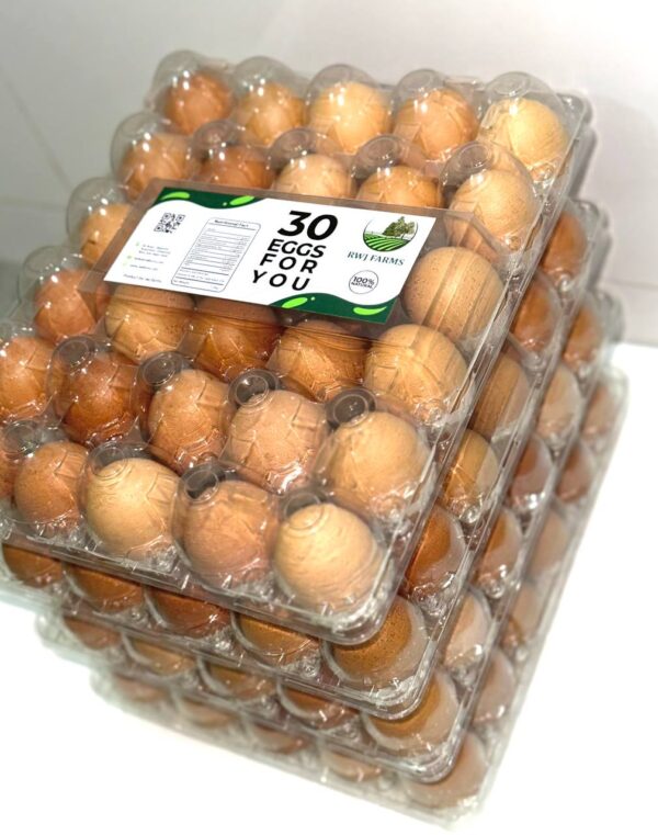 CLOSED CRATE OF 30 PACKED EGGS