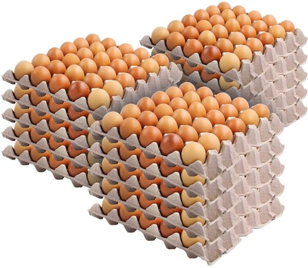 FRESHLY 30 PACK OPEN CRATE EGGS